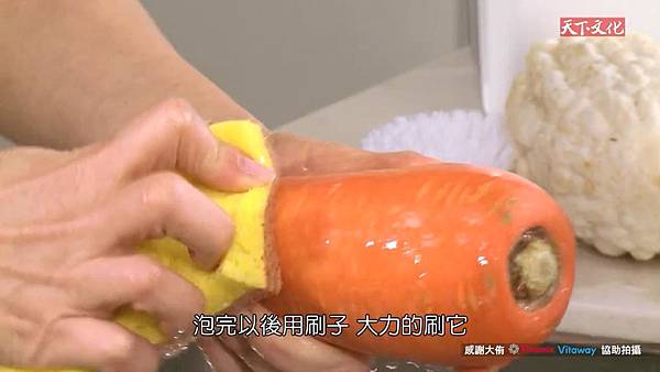 洗根莖類 洗根莖類