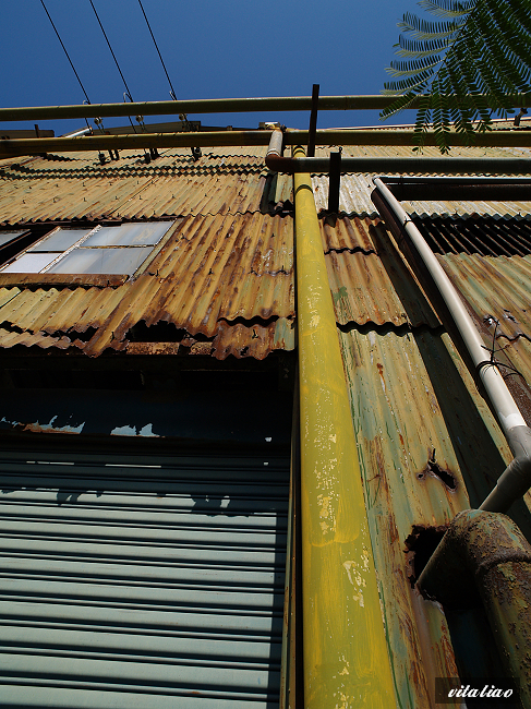 P1010619.jpg P1010619.jpg