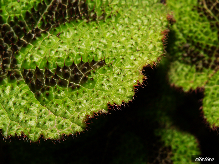 P1014127.jpg P1014127.jpg
