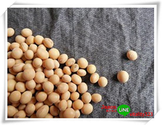 soybeans-182295__180_副本