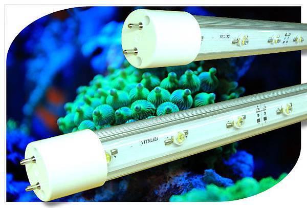 HO-T8-LED-Tube-light-reef-planted