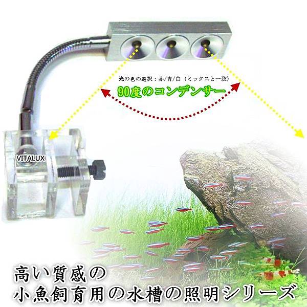 Led水族燈 迷你led水族夾燈 燈籠魚 Led水草燈x植物燈的相簿 痞客邦