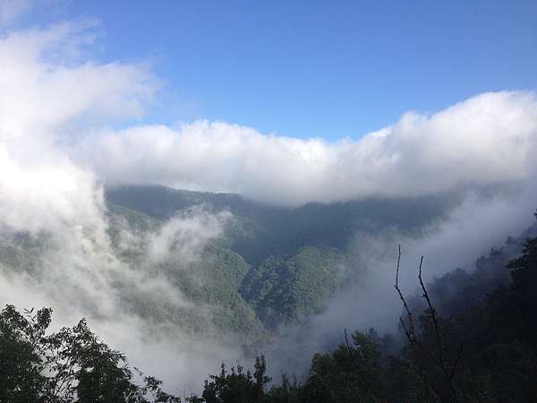 桃園 復興 雨後果然出大景 雲海第一排拉拉山長榮夫妻樹露營區no 32 圓圓家的移動城堡 痞客邦