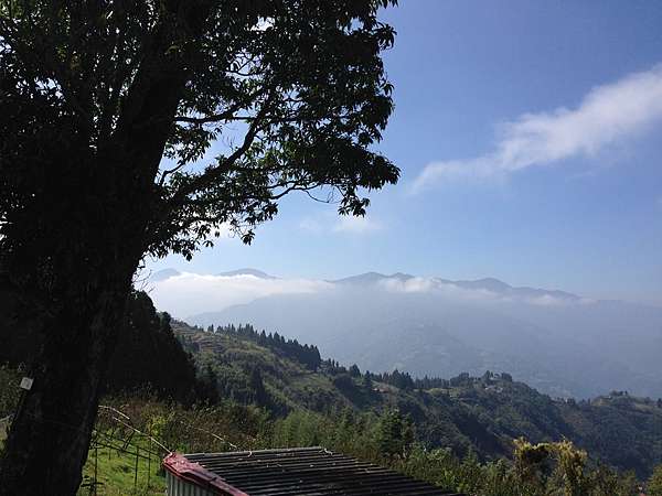 桃園 復興 雨後果然出大景 雲海第一排拉拉山長榮夫妻樹露營區no 32 圓圓家的移動城堡 痞客邦