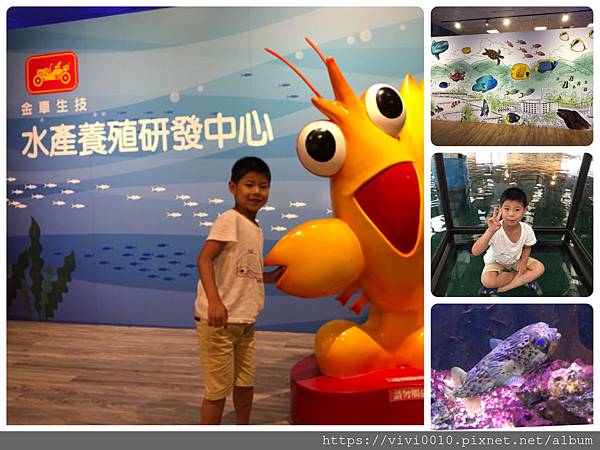 金車水產養殖研發中心,餵鯊魚體驗,宜蘭免費景點,水族動物,觀光工廠,親子景點,雨備景點,宜蘭景點
