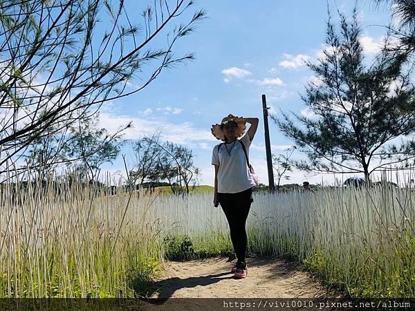 狀圍沙丘_191118_0060.jpg