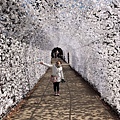 20200203韓國之旅第二天_200207_0084.jpg