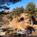 20200203韓國之旅第二天_200207_0104.jpg