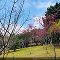 林口八里_200223_0035.jpg