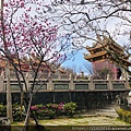 林口八里_200223_0051.jpg