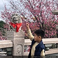 林口八里_200223_0061.jpg