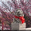 林口八里_200223_0059.jpg