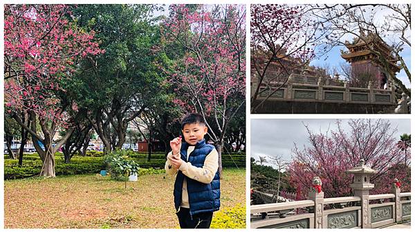林口竹林寺,櫻花季,賞花景點,觀音菩薩,竹林寺公園,小朋友遊樂設施,新北林口,新北,林口,竹林寺,櫻花,賞櫻