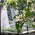 鳩之澤_200316_0007.jpg
