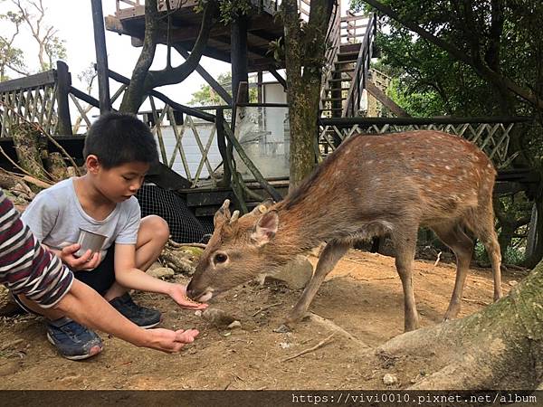 鹿羽松牧場_200419_0020.jpg 鹿羽松牧場_200419_0020.jpg