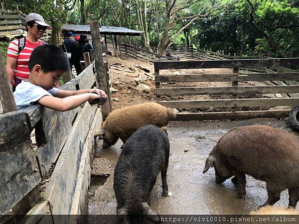 鹿羽松牧場_200419_0031.jpg 鹿羽松牧場_200419_0031.jpg