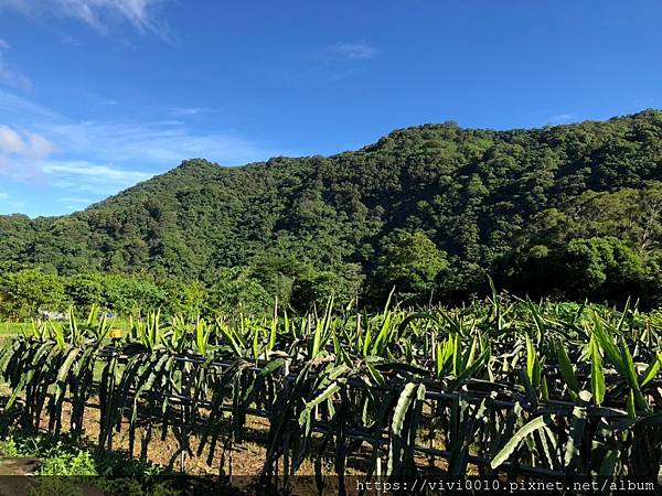 樂悠露營區_200518_0019.jpg 樂悠露營區_200518_0019.jpg