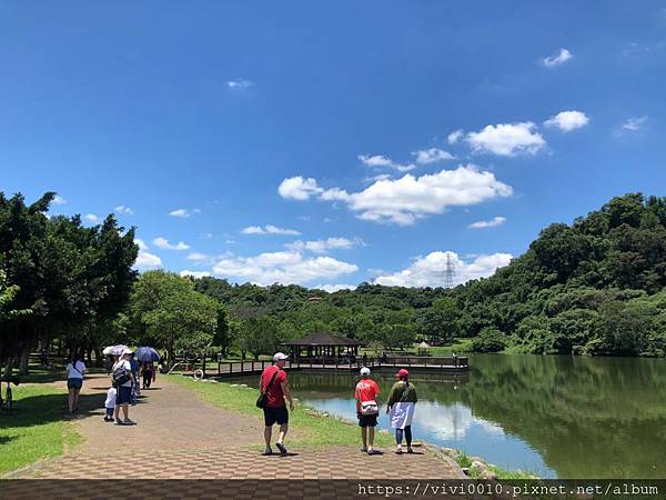 桃園,龍潭,三坑自然生態公園,桃園景點,親子景點,溪流,野餐