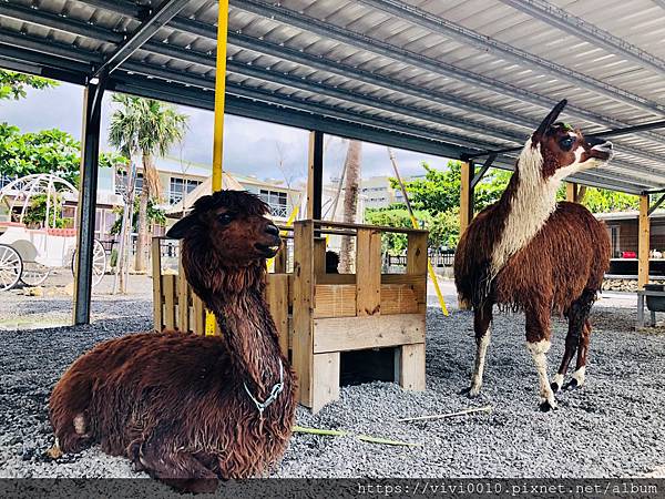 墾草趣_200716_14.jpg 墾草趣_200716_14.jpg