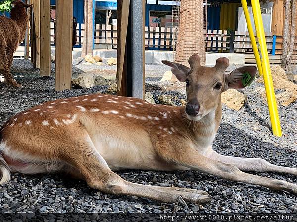 墾草趣_200716_15.jpg 墾草趣_200716_15.jpg