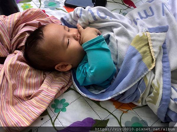 白鮑溪秘境_200802_33.jpg 白鮑溪秘境_200802_33.jpg