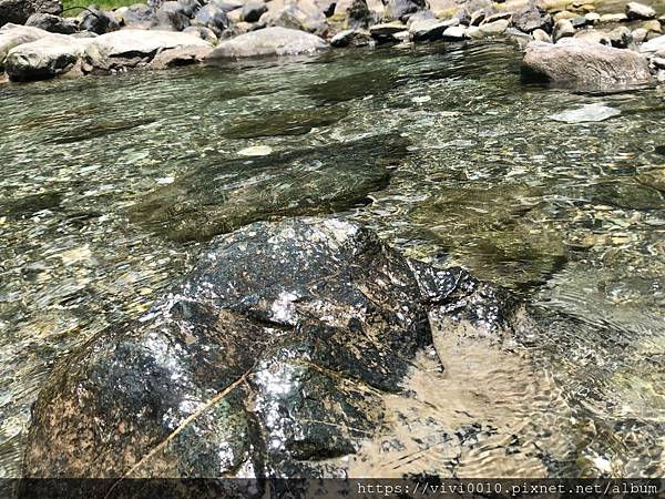 白鮑溪秘境_200802_48.jpg 白鮑溪秘境_200802_48.jpg