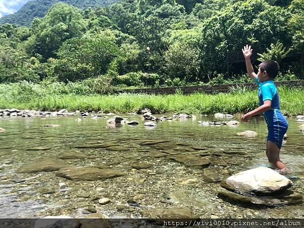 白鮑溪秘境_200802_54.jpg 白鮑溪秘境_200802_54.jpg