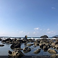 大坪海岸_201002_12.jpg