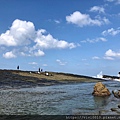 大坪海岸_201002_24.jpg