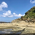 大坪海岸_201002_32.jpg