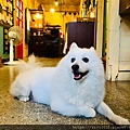 樓梯好陡_200902_19.jpg
