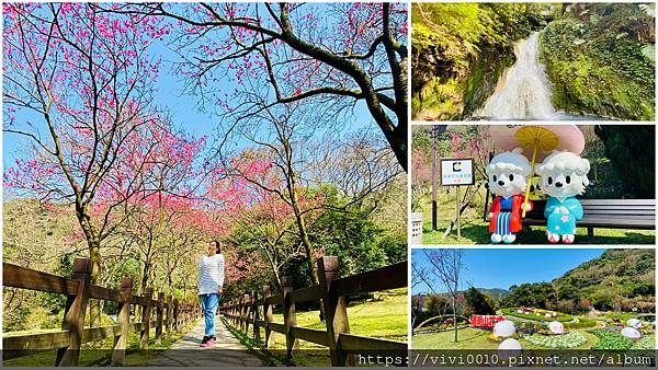 台北,陽明山,陽明山花季,櫻花,陽明公園,車站,捷運,秘境,台北景點