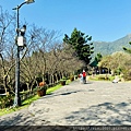 陽明山_210203_9.jpg
