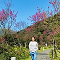 陽明山_210203_18.jpg