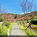 陽明山_210203_19.jpg