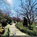陽明山_210203_28.jpg