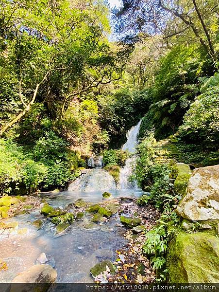 陽明山_210203_41.jpg