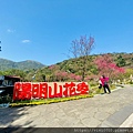 陽明山_210203_48.jpg