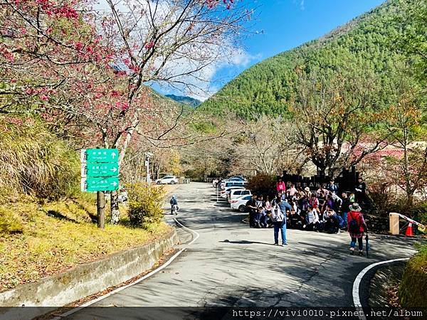 桃山瀑布,武陵農場,香杉步道,七家灣溪,藍腹鷴,武陵吊橋,芬多精,台中,和平, 桃山瀑布,步道,健行,登山,健走,瀑布,大自然,百岳,吊橋