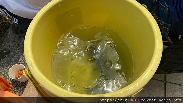 輕親魚朵_210329_54.jpg 輕親魚朵_210329_54.jpg