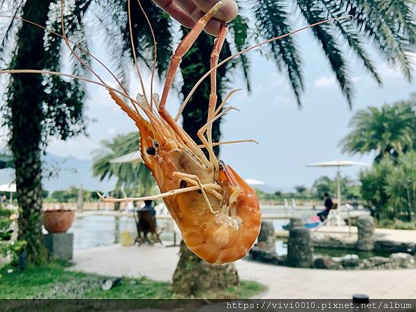 輕親魚朵_210329_55.jpg 輕親魚朵_210329_55.jpg