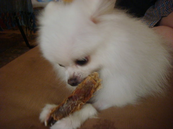 DSC02981.jpg