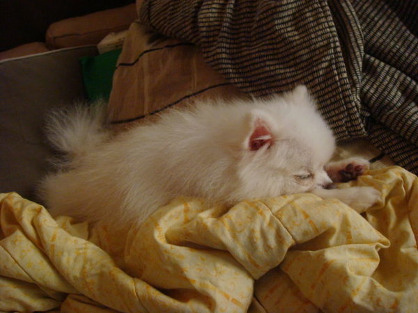 DSC03011.jpg