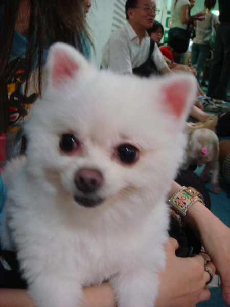 DSC05116.JPG