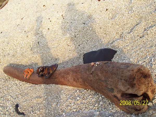 20080527沙灘影子鞋子與枯木貝殼(拍攝於菓葉)02.jpg