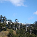 20100105拍攝於合歡山鳶峰02.jpg