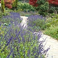 20091104杉林溪拈花惹草023.jpg