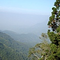 20091104下杉林溪後隨拍.jpg