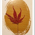 20091104撿拾於杉林溪藥花園.jpg