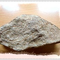20091102撿拾於巴陵大橋下溪流04.jpg